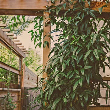 Craftsman-Style Cedar Vine Arbor @ Sideyard Walkway