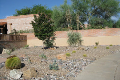 Foto de jardín de secano de estilo americano de tamaño medio en patio delantero con exposición total al sol