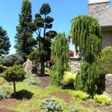 Creating enclosure and shade with Landscaping in your front yard