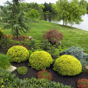 Creating enclosure and shade with Landscaping in your front yard