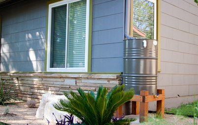 Easy Green: Big and Small Ways to Be More Water-Wise at Home