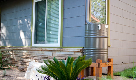 Easy Green: Big and Small Ways to Be More Water-Wise at Home