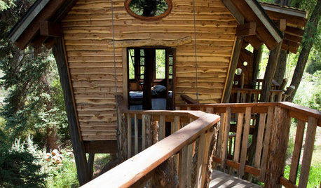 Tour a Fantastical Tree House for Kids and Adults Too