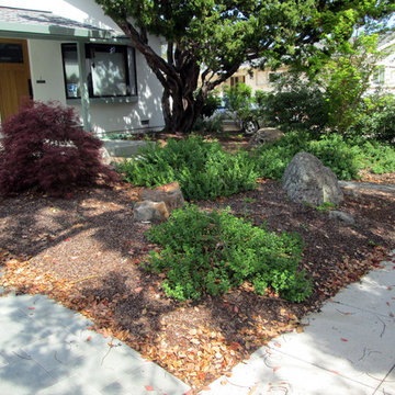 Cupertino, California Low Water Garden Design & Lawn Replacement