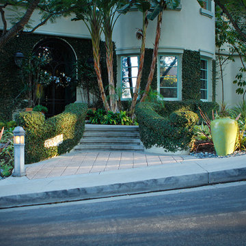 Cur Appeal Large pots with Succulents, Sophisticated Drought Tolerant Garden