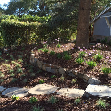 Curb Appeal Boost and Fire Pit Replace Lawns