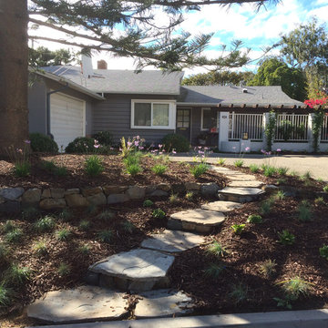 Curb Appeal Boost and Fire Pit Replace Lawns