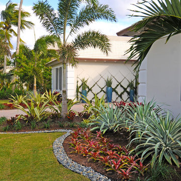 Curb Appeal from a Clean-Lined Landscape Color
