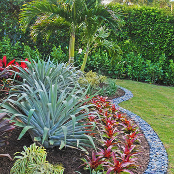Curb Appeal from a Clean-Lined Landscape Color