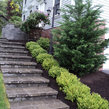 Curb Appeal
