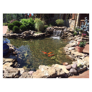 Fashion Island Koi Pond — Vasquez Art and Paint Party Experience