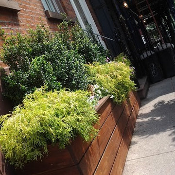 Custom sidewalk planter box for Greenwich village townhouse