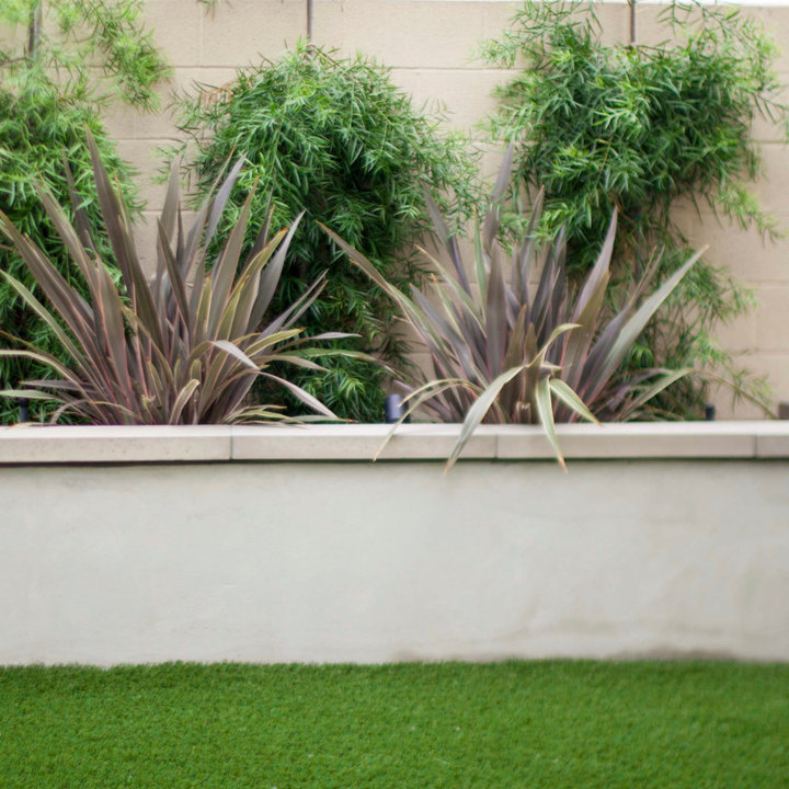 Raised Stucco Planter Photos & Ideas Houzz