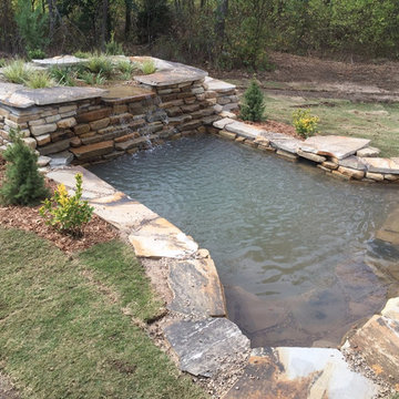 Custom Swimming Pond