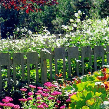 Cutout Fence with Fall Flowers