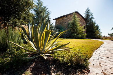 This is an example of a partial sun brick landscaping in Austin.