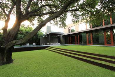 Large modern back partial sun garden in Dallas.