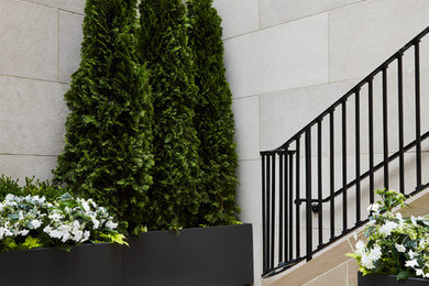 Inspiration for a modern partial sun rooftop concrete paver landscaping in New York.