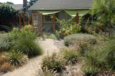 Design ideas for a drought-tolerant front yard garden path in San Francisco.