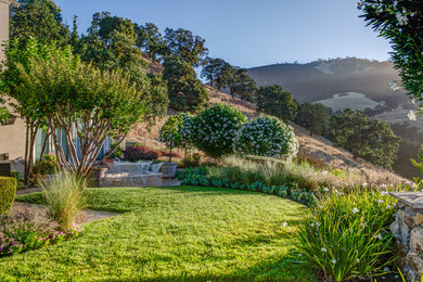 Imagen de jardín de secano clásico grande en verano en patio trasero con exposición total al sol