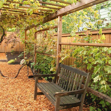 David and Terri's backyard