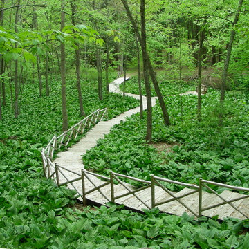 David's Brook
