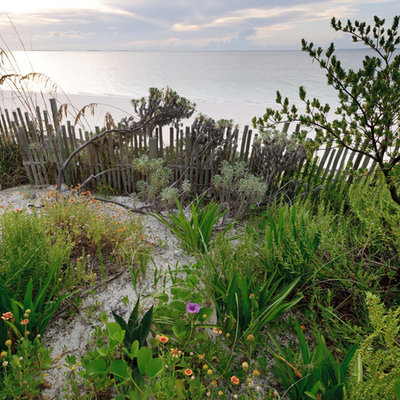 Inspiration for a tropical backyard gravel landscaping in Miami.