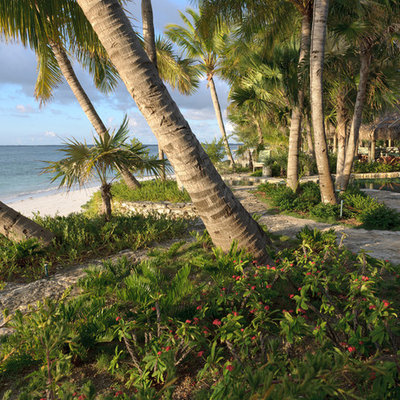 This is an example of a tropical backyard landscaping in Miami.