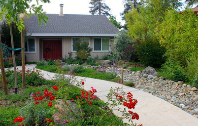 California Says Goodbye to the Sprawling Ornamental Lawn
