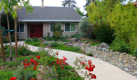 California Says Goodbye to the Sprawling Ornamental Lawn