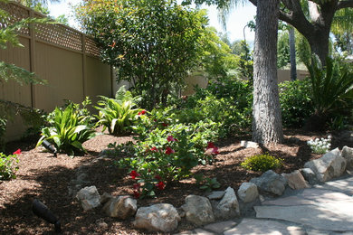 Design ideas for a tropical landscaping in San Diego.