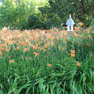 Daylily birdhouse