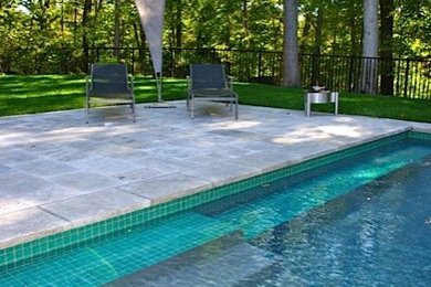 Design ideas for a modern landscaping in New York.