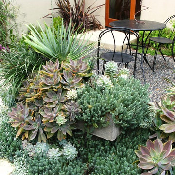 debora carl landscape design