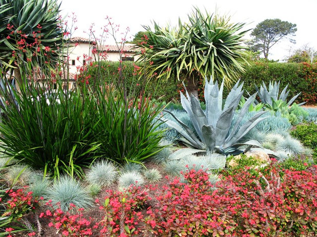 Mediterranean Garden by debora carl landscape design