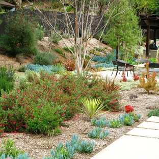 Inspiration for a contemporary drought-tolerant backyard landscaping in San Diego.