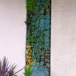 https://www.houzz.com/photos/debora-carl-landscape-design-contemporary-landscape-san-diego-phvw-vp~129185