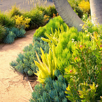 Decomposed granite path with grasses, succulents and shrubs