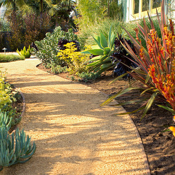 Decomposed granite path with low water succulents, grasses and shrubs
