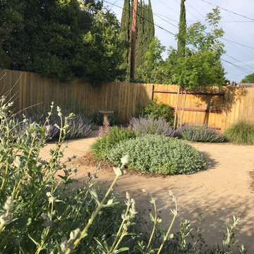 Decomposed granite paths lined with pollinator friendly plants