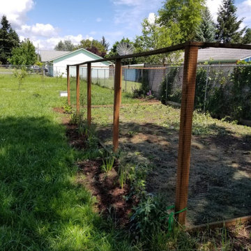 Decorative hanging baskets on a chicken run