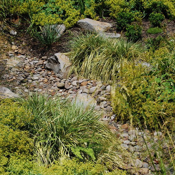 decorative stormwater swale