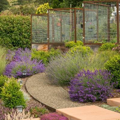 Inspiration for a contemporary vegetable garden landscape in Other.