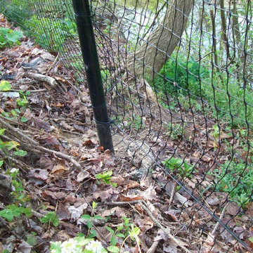 Deer Fencing