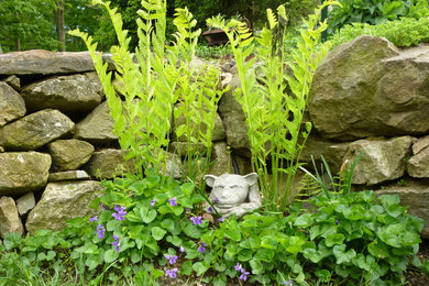 This is an example of a rustic side xeriscape garden for spring in New York with a retaining wall.