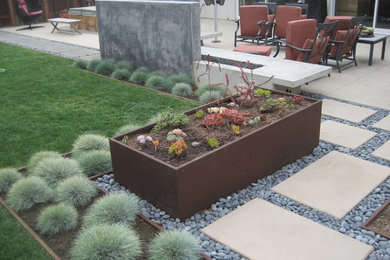 Photo of a large contemporary back full sun garden in San Diego.