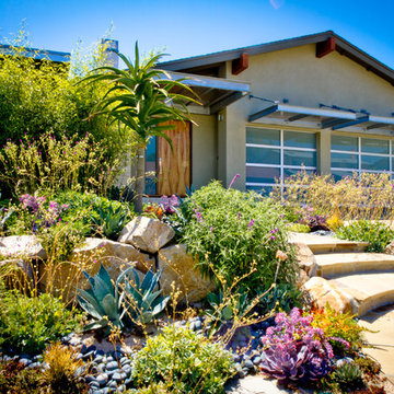 Del Mar Heights  - Let Color Bring Life To Your Home