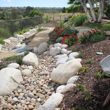 Del Mar Turf Removal & Water Wise Landscape