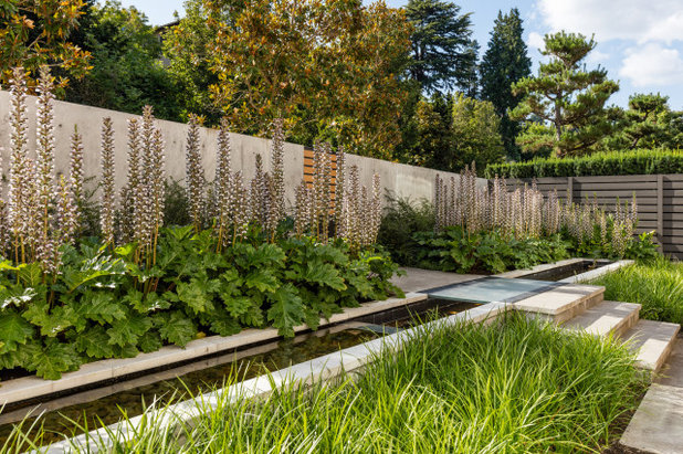 Contemporary Garden by SCJ Studio Landscape Architecture