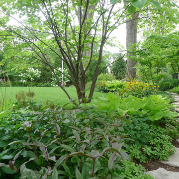Dense Plantings Along Shaded Walkway in Suburban Garden